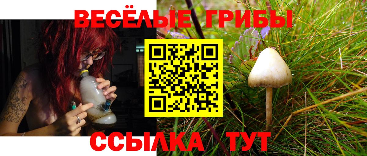Галлюциногенные грибы Magic Shrooms Бутурлиновка
