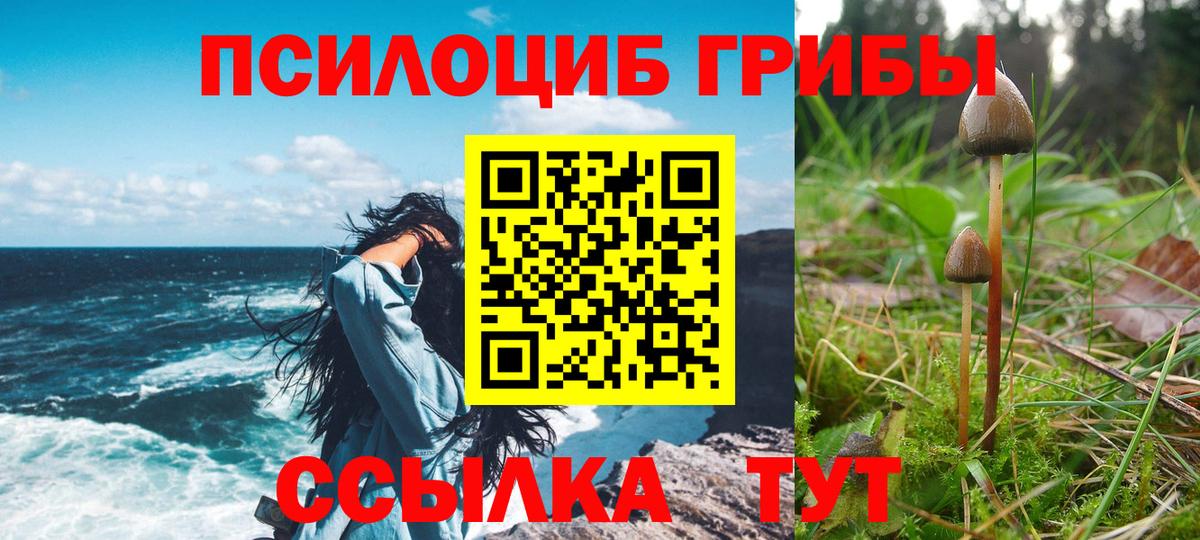Галлюциногенные грибы Magic Shrooms  Галлюциногенные грибы ЛСД  Вход с VPN  Бутурлиновка 
